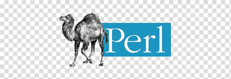 Perl Dynamic programming language Scripting language Computer programming, perl transparent background PNG clipart