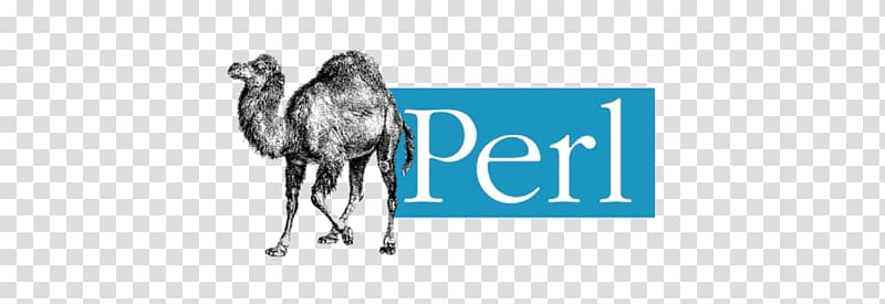 perl programing language