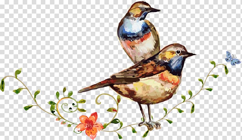 Bird Watercolor: Flowers Watercolour Flowers, Coffee colored watercolor flower and bird transparent background PNG clipart