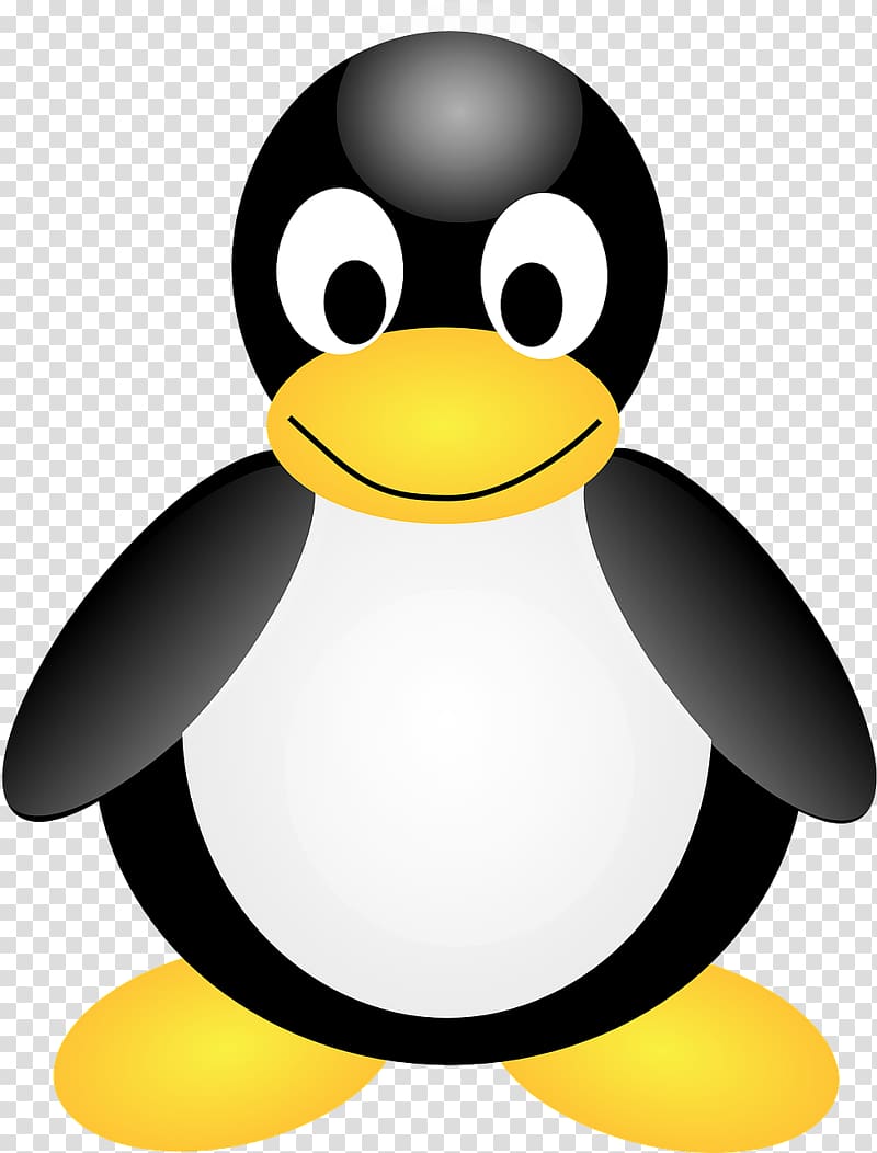 Tux Penguin , Penguin transparent background PNG clipart