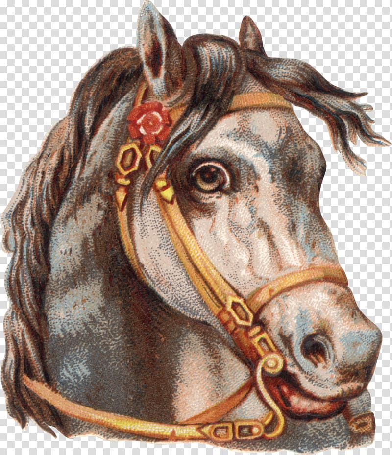 Horse Tack Horse Harnesses , horse transparent background PNG clipart