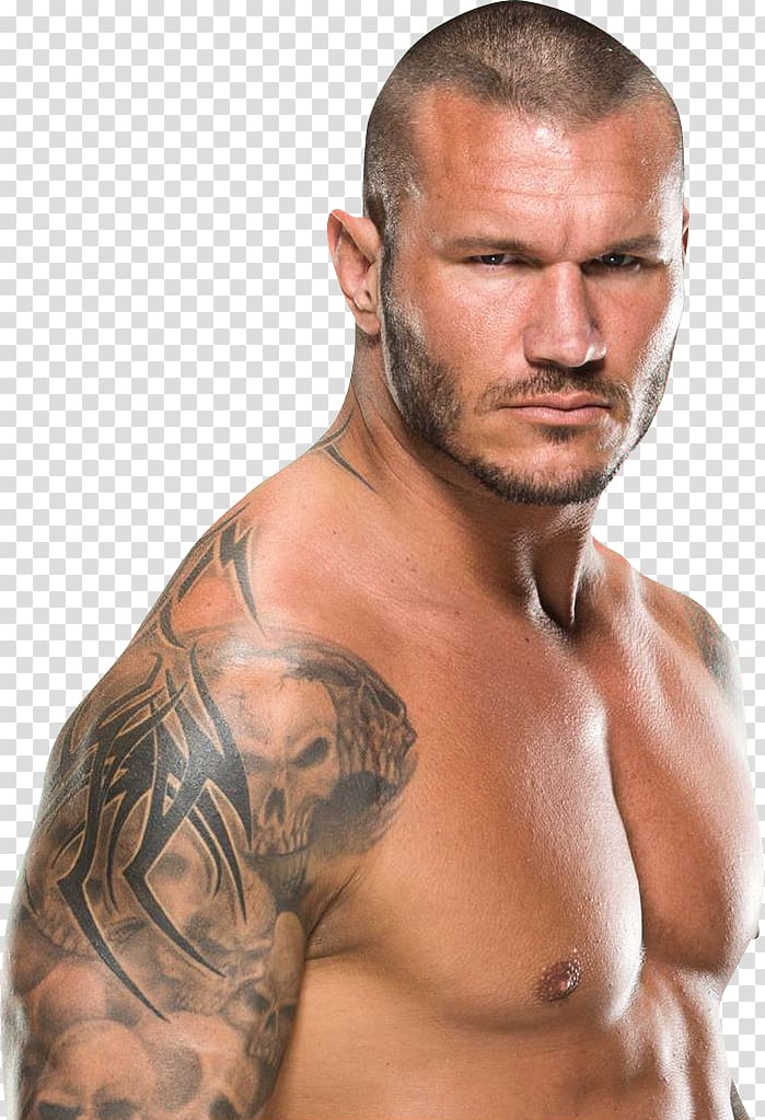 Randy Orton WWE Championship WWE Raw Valentines Day, Randy Orton transparent background PNG clipart