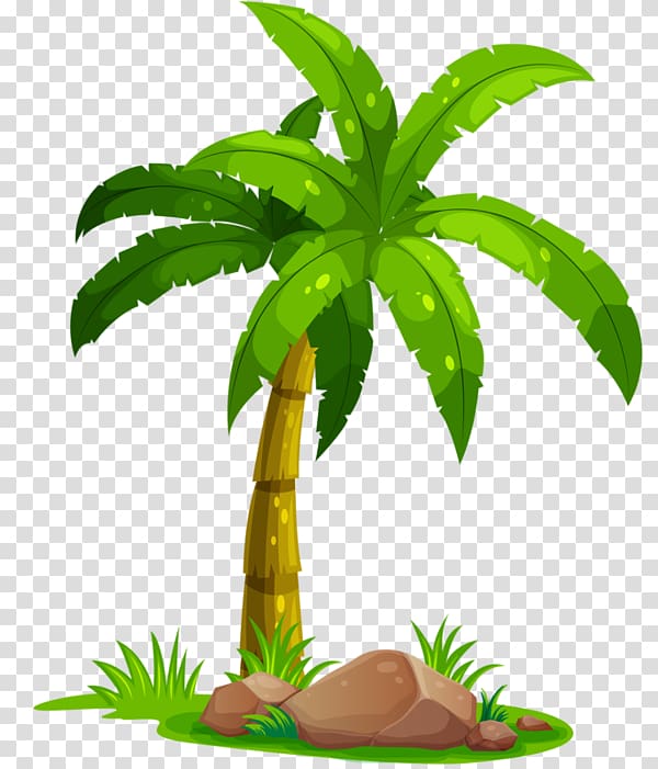 Coconut Portable Network Graphics Palm trees, mon bateau transparent background PNG clipart