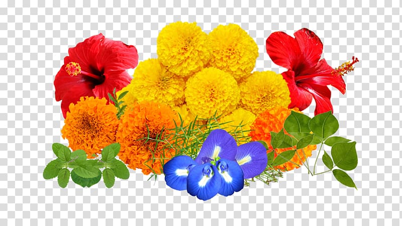 Cut flowers Floral design Floristry Flower bouquet, real flowers transparent background PNG clipart