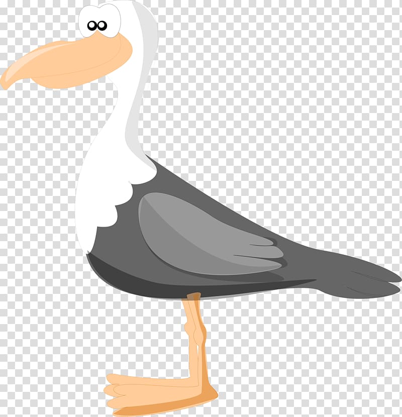 Large white-headed gulls Bird Duck Drawing, Bird transparent background PNG clipart