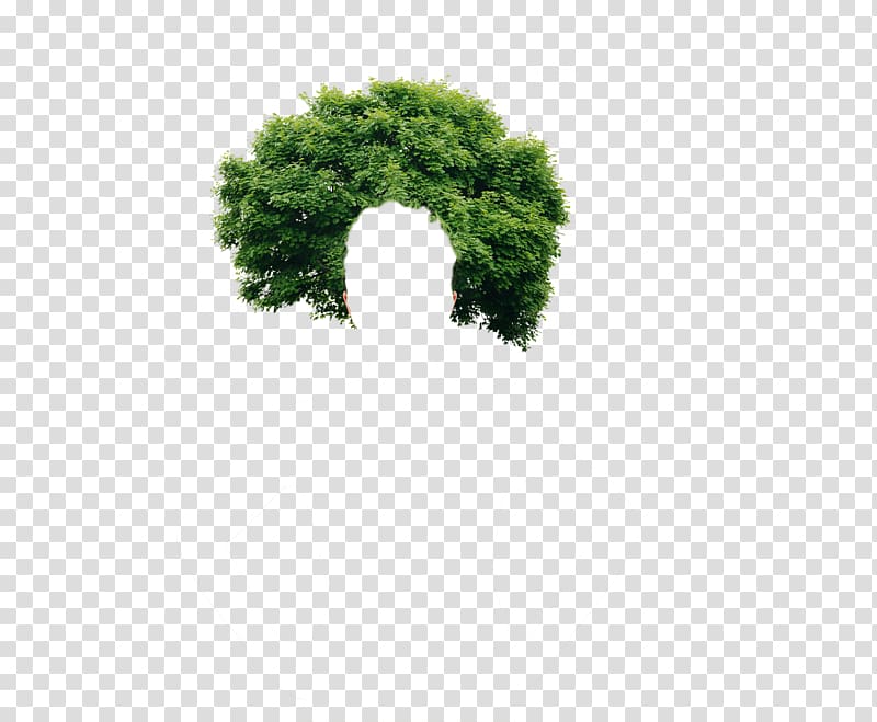 Tree Low poly 3D computer graphics Energy conservation, tree transparent background PNG clipart