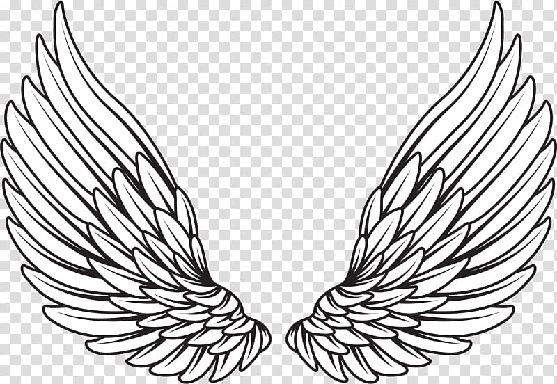 Pair of white wings illustration, Drawing , wings angel transparent ...