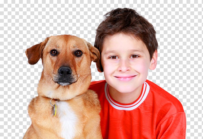 smiling boy sitting beside dog, Labrador Retriever Pet Service dog Cat Child, Boy and Dog transparent background PNG clipart