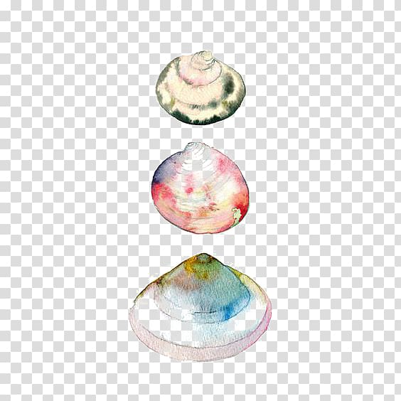 Watercolor painting Drawing Seashell, shell transparent background PNG clipart