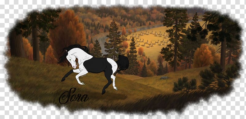 DreamWorks Animation Horse Drawing Film, Animation transparent background PNG clipart