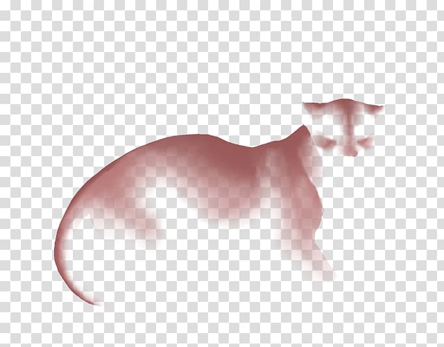 Whiskers Kitten Balinese cat Domestic short-haired cat Cheetah, kitten transparent background PNG clipart