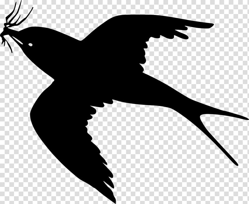 Bird flight Cartoon , vogelschwarz transparent background PNG clipart