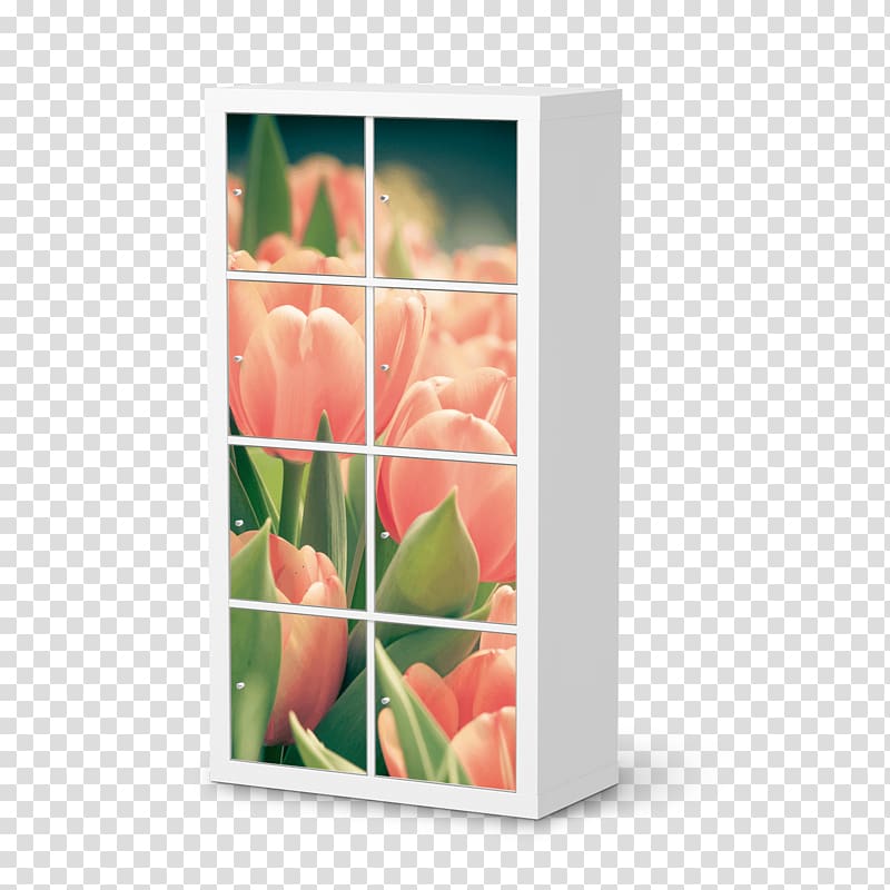 Girl Clerk #2 Petal Door Frames Floral design, tulip material transparent background PNG clipart