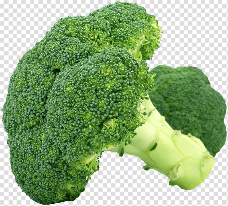 Broccoli Vegetable Salad Lettuce Spinach, broccoli transparent background PNG clipart