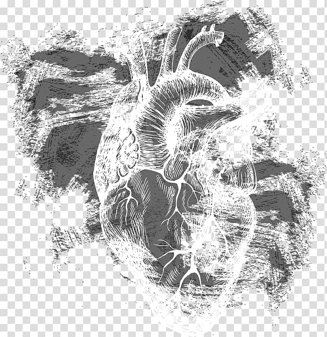 Heart Euclidean Human body, A heart transparent background PNG clipart