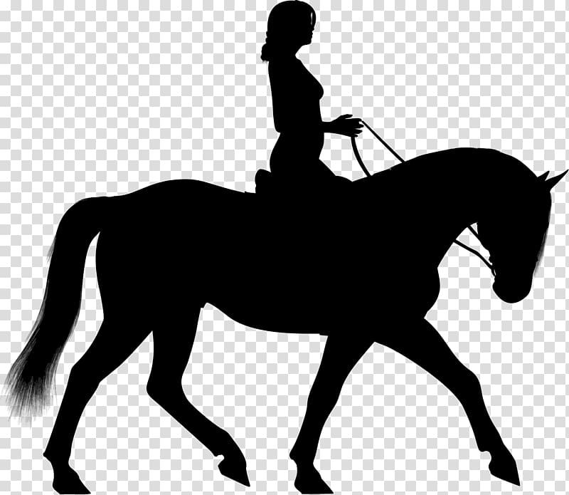 Horse Equestrian Silhouette , horse riding transparent background PNG clipart