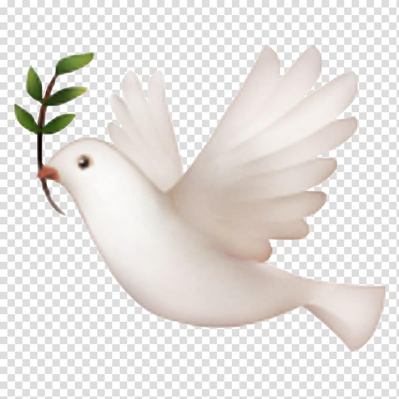 free-download-iphone-emojipedia-doves-as-symbols-pigeon-transparent