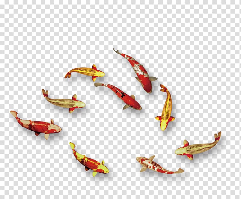 Designer Fish, Nine fish Figure psd material transparent background PNG clipart