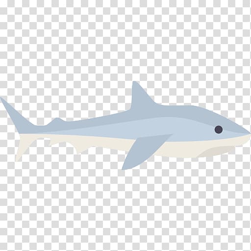 Tiger shark Squaliform sharks Marine biology Marine mammal Requiem sharks, tiger transparent background PNG clipart