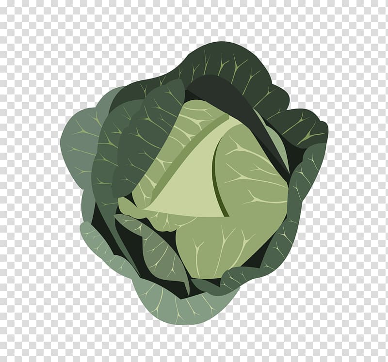 Red cabbage Chinese broccoli Vegetable Israeli salad, Kale material transparent background PNG clipart