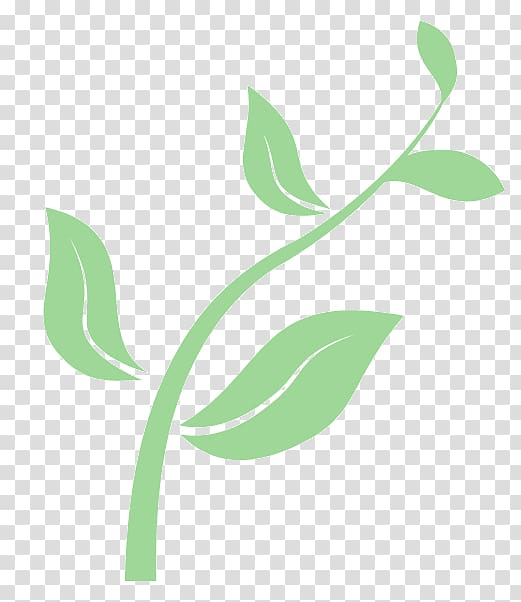 Seedling From Seed To Plant Plant Growing Transparent Background Png