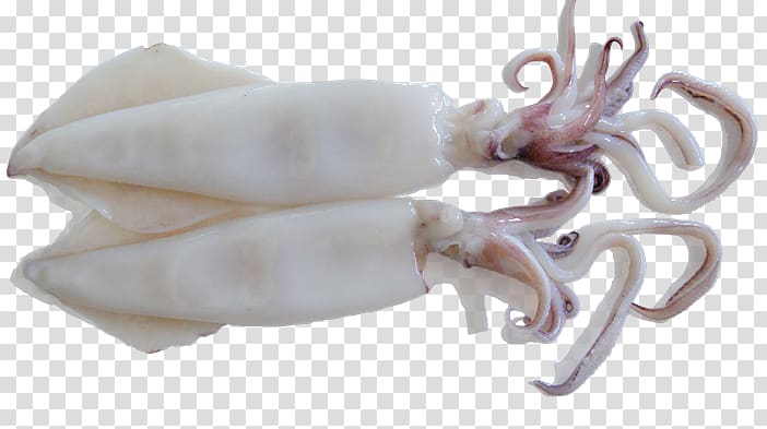 Squid as food Octopus Sweet and sour Meat, pedas transparent background PNG clipart