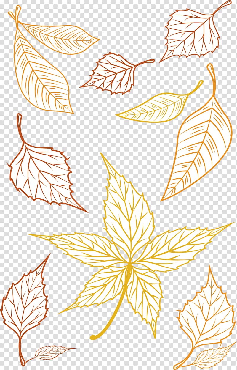 Deciduous Autumn , Hand painted autumn leaves transparent background PNG clipart