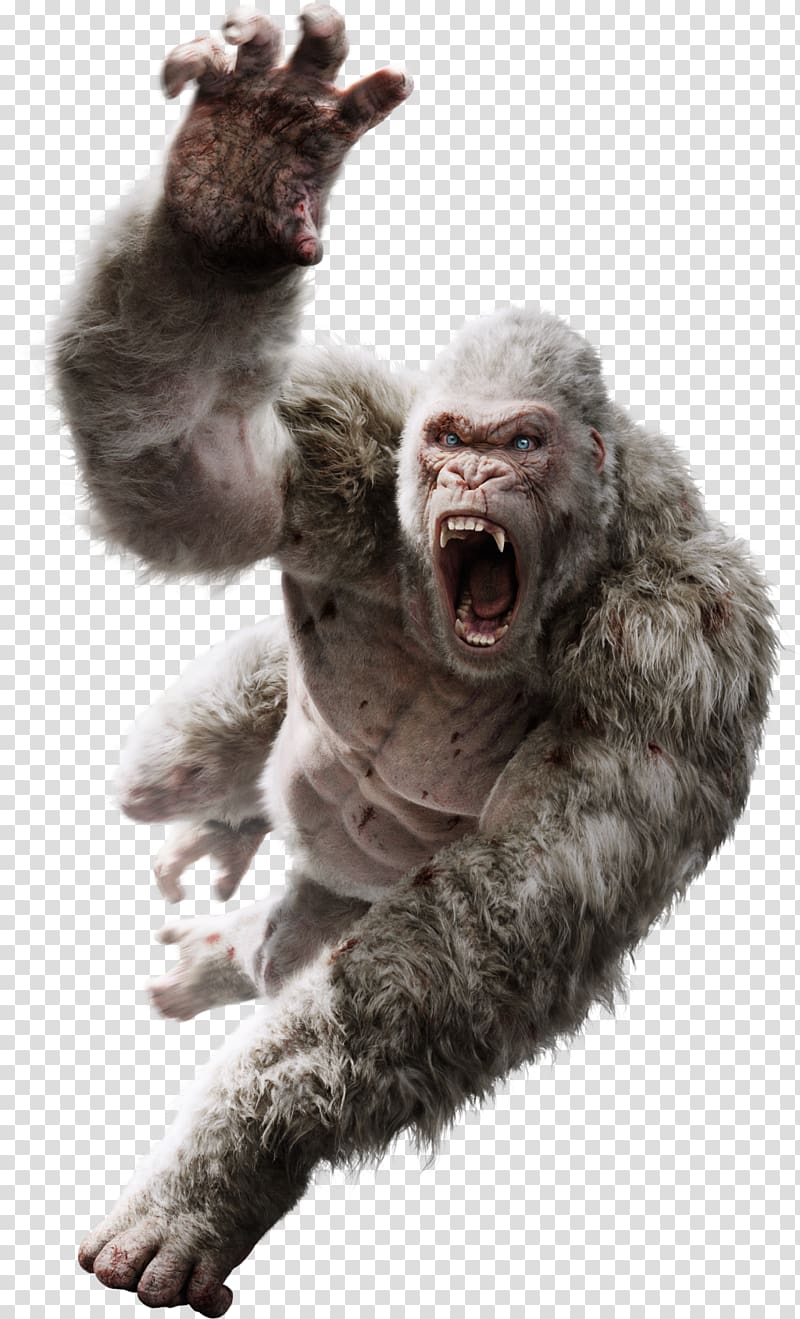 Davis Okoye King Kong Film Art Monster movie, padme amidala transparent background PNG clipart