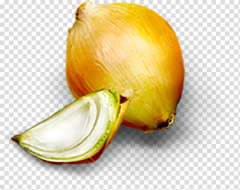 Onion Food, Cartoon onion food material transparent background PNG clipart