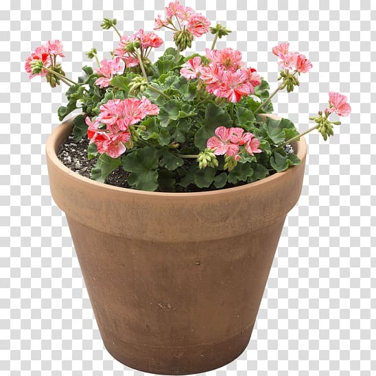 Flowerpot Houseplant Light + Building, flower pot transparent background PNG clipart