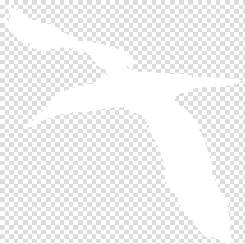 Rectangle Line Brown Font, albatross transparent background PNG clipart