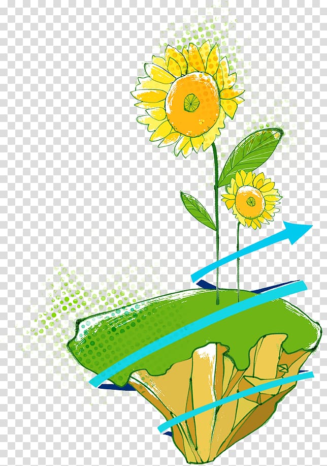Watercolour Flowers Common sunflower Painting, Hand-painted sunflower transparent background PNG clipart