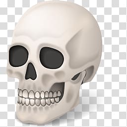 Skeleton transparent background PNG clipart