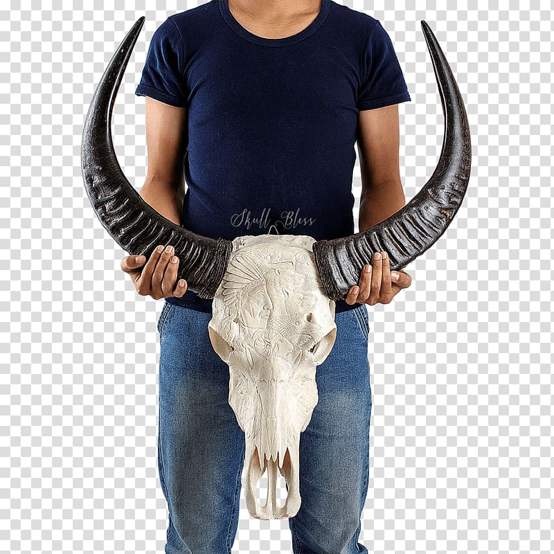 Cattle Horn Animal Skull Mixture, buffalo skull transparent background PNG clipart