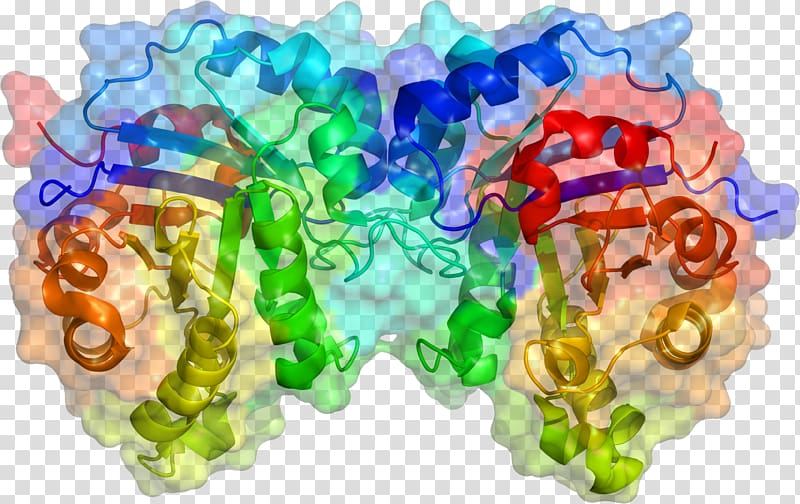 Secondary metabolite Triosephosphate isomerase Glyceraldehyde 3-phosphate Enzyme, Tridimensional transparent background PNG clipart