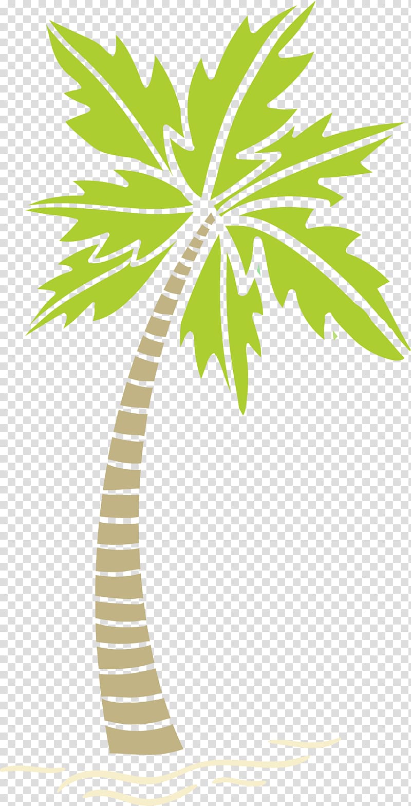 Arecaceae Areca palm Tree, Areca tree effect diagram transparent background PNG clipart