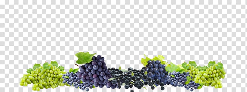 Grape Winery Colle del Bricco Wine cellar, grape transparent background PNG clipart