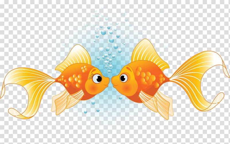 Fish Kissing gourami Illustration, Hand painted kissing fish transparent background PNG clipart