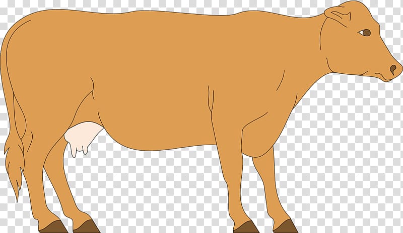 Dairy cattle Calf , sapa transparent background PNG clipart