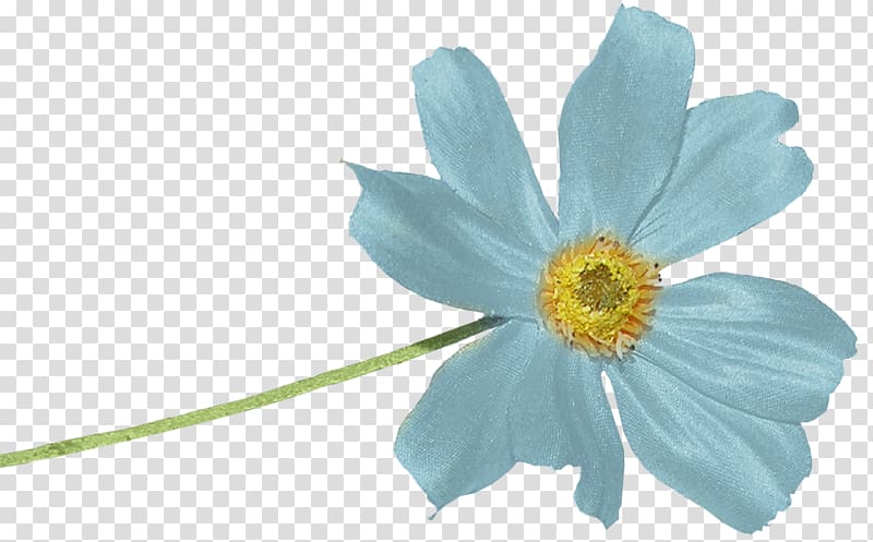 Blue Color Portable Network Graphics Mavi, flower blue transparent background PNG clipart
