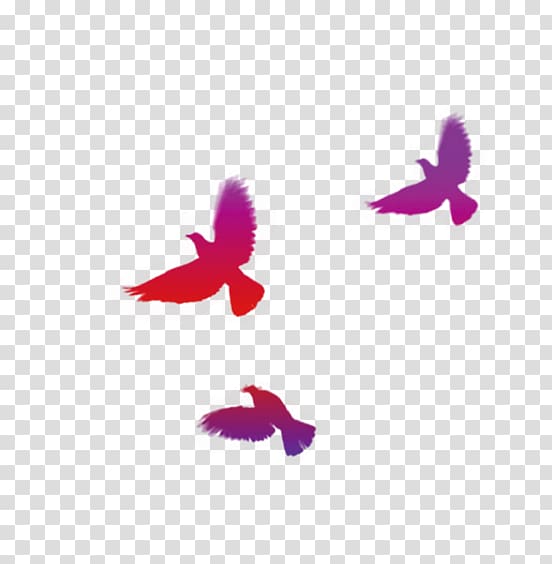 Google s, Colored birds transparent background PNG clipart