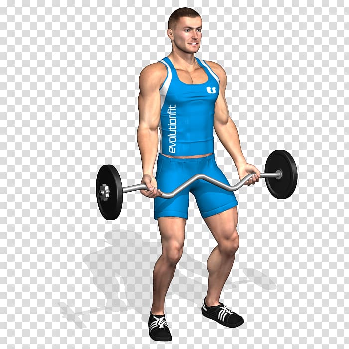 Weight training Barbell Biceps curl Dumbbell Squat, barbell transparent background PNG clipart