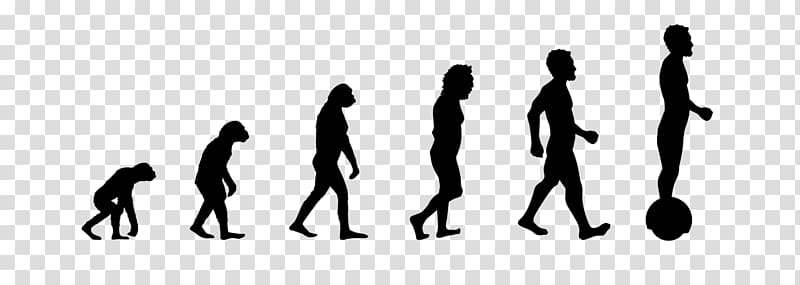 Human evolution Neanderthal Wall decal, hoverboard back to the future transparent background PNG clipart