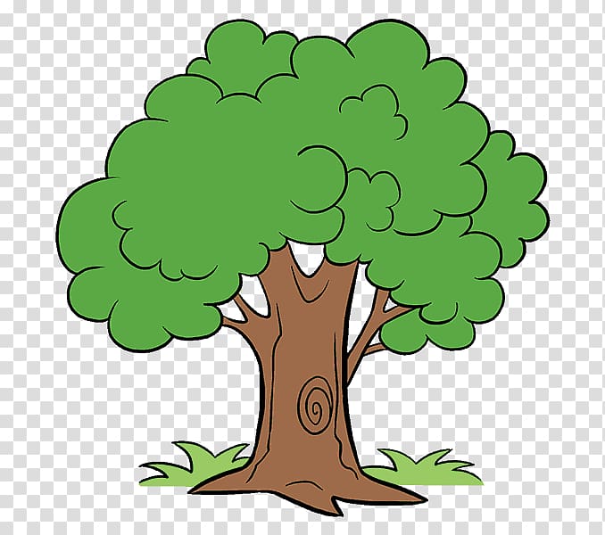 Drawing Cartoon Tree , tree-lined transparent background PNG clipart