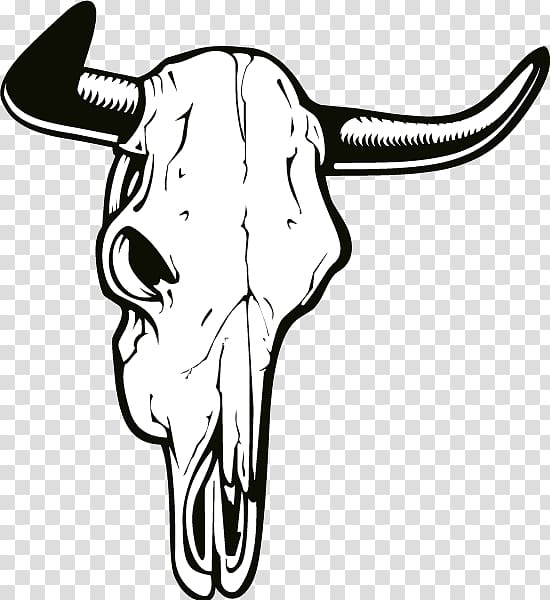 Cattle Drawing Skull , skull transparent background PNG clipart
