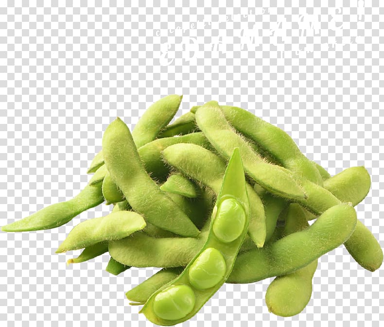 Edamame EPIC Group Green bean Food, others transparent background PNG clipart