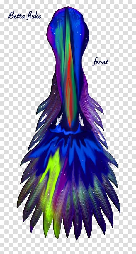 Costume design Feather Beak Dance, aurora boreal transparent background PNG clipart