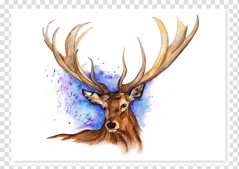 Elk Reindeer Antler Watercolor painting, hand-painted deer transparent background PNG clipart