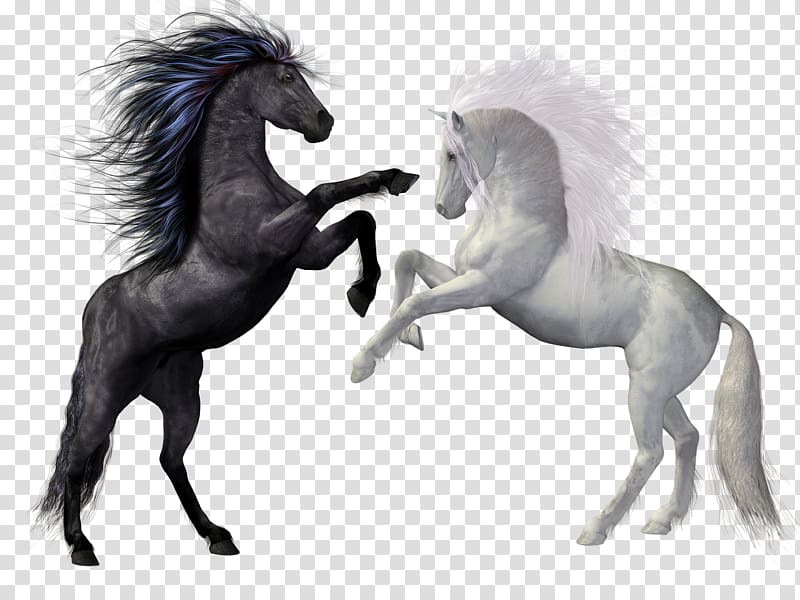 Horse Rearing Stallion Equestrian Unicorn, horse transparent background PNG clipart