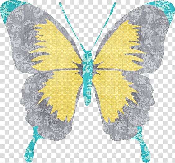 Butterfly Drawing Paper , butterfly transparent background PNG clipart